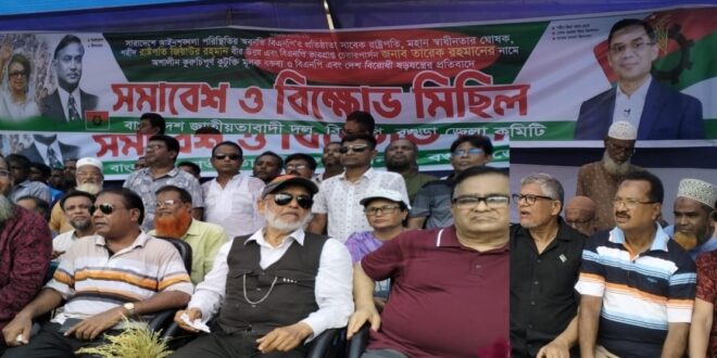 বিএনপির বিক্ষোভ মিছিল