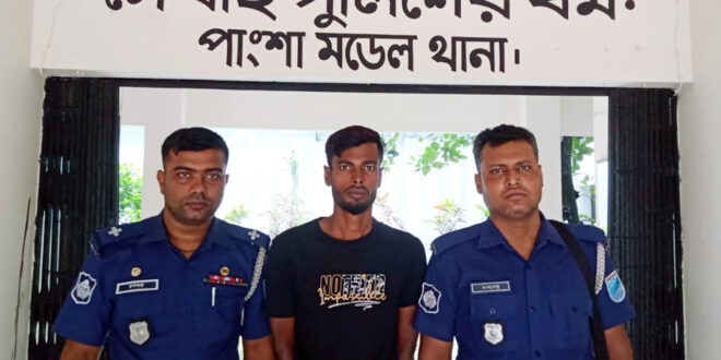 রাজবাড়ীতে জেলার পাংশা উপজেলার সন্ত্রাসী সালমান শাহ গ্রেপ্তার