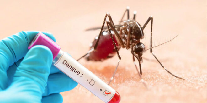 গত ২৪ ঘণ্টায় ডেঙ্গুতে আক্রান্ত হয়ে হাসপাতালে আরো ৪২৯