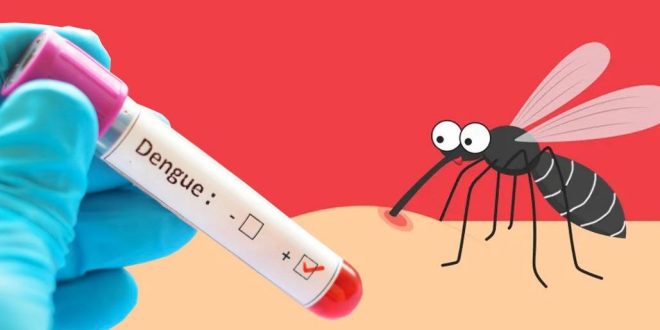 ডেঙ্গুতে হাসপাতালে ভর্তি ৩৬৩, মৃত্যু ৩ জনের